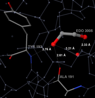 EDO A 3005 - H-bonds